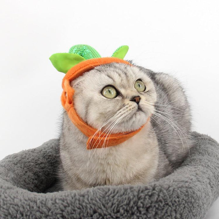 Transform Your Pet with the Adorable Pet Pumpkin Leaf Costume!
