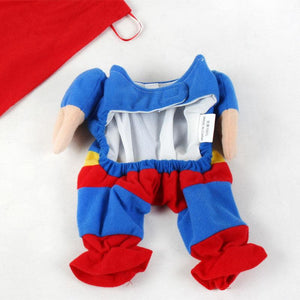 Transform Your Pup's Style with the Ultimate Dog Clothes Transformation