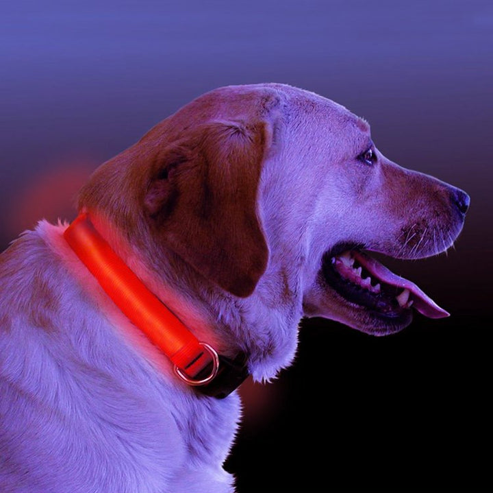 Illuminate Your Pet's Safety with the LED Light Up Dog Collar