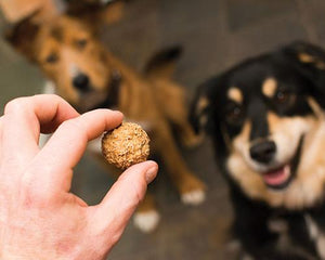 Indulge Your Pup with Original Beer Paws Peanut Butter Flavor Beer Biscuits