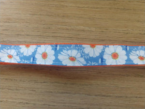 Enhance Your Walks with Our Stylish Leash