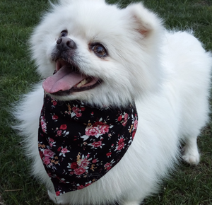 Adjustable Triangle Bandana: The Perfect Accessory for Your Pet