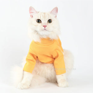 Why Your Pet Deserves the Best: Discover Our Pet Label Turtleneck Yellow Clothes
