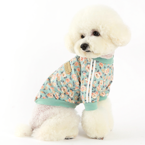 Why Your Pet Deserves the Nancy Track Top Mint