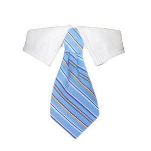 Elevate Your Pet's Style with the Kyle Shirt Collar