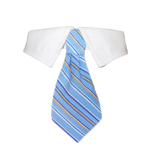 Elevate Your Pet's Style with the Kyle Shirt Collar