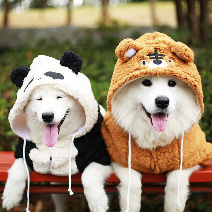 Keep Your Furry Friend Cozy This Winter
