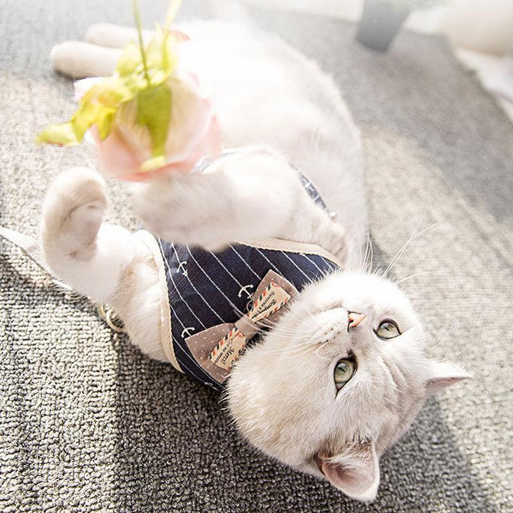 Experience Ultimate Comfort with Our Breathable Mesh Pet Leash
