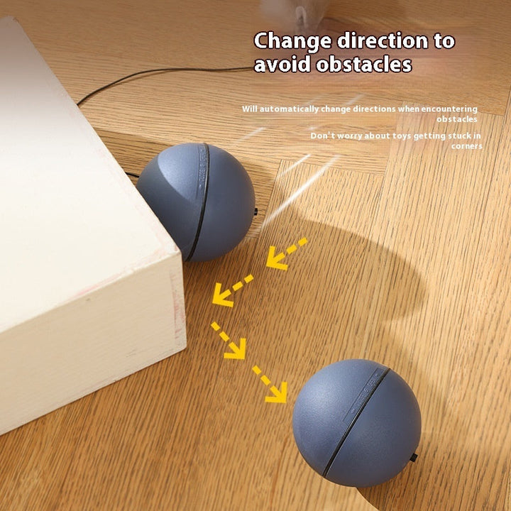 Unleash the Fun with the Mouse Teaser Ball for Pets