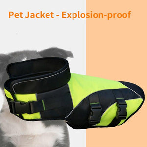 Keep Your Pup Cozy This Winter