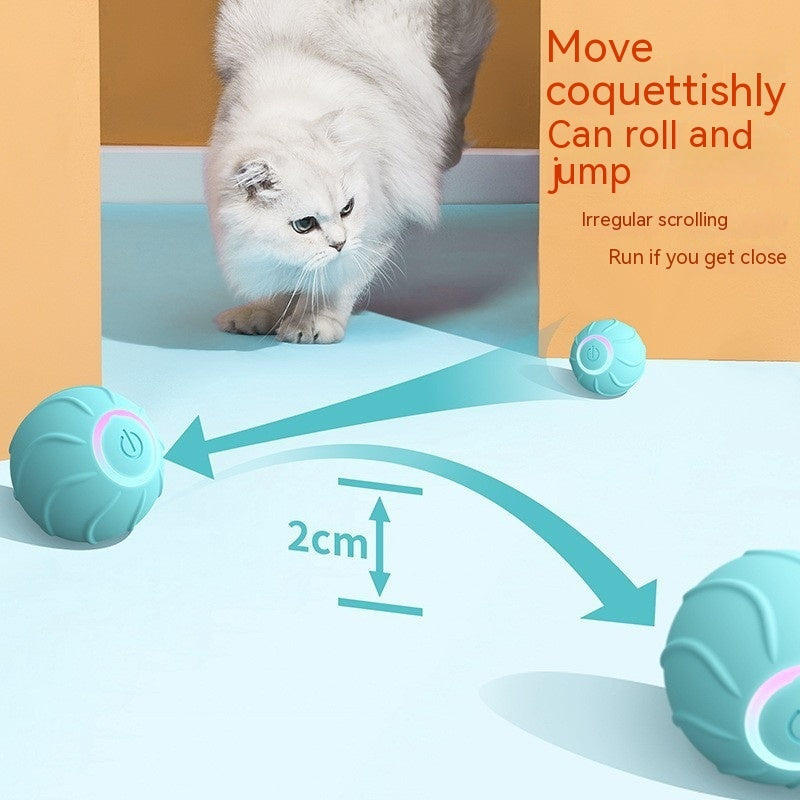 Pet Cat Owner Interactive Pets Toys