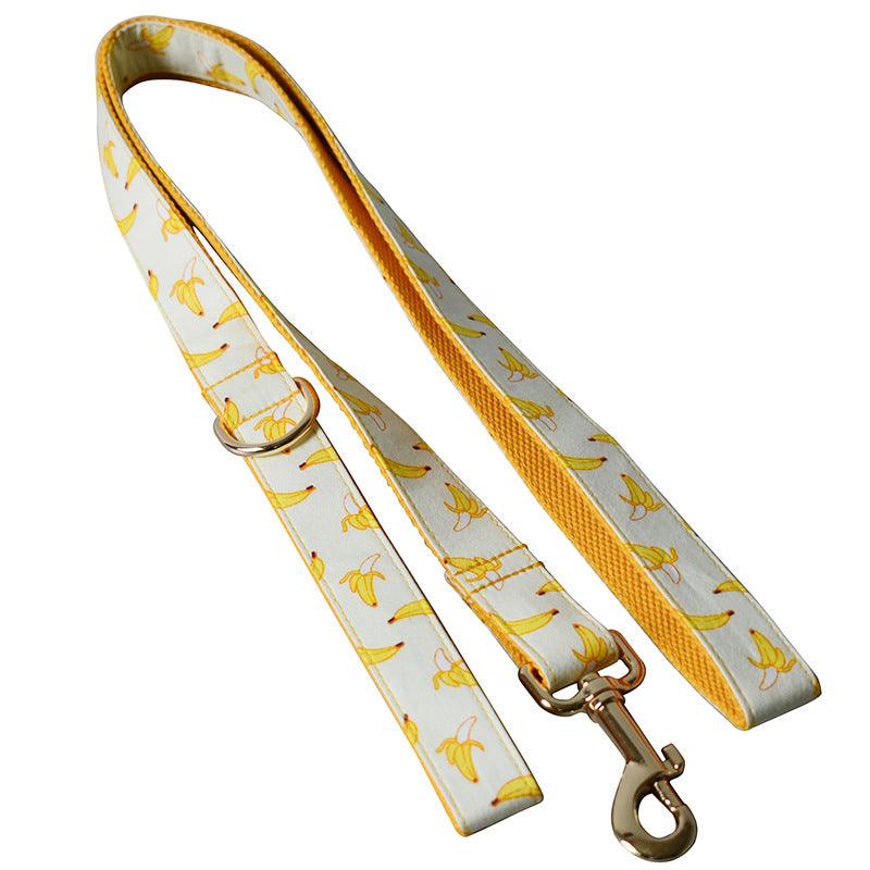 Fruitful Adventures Dog Leash Pet Collar