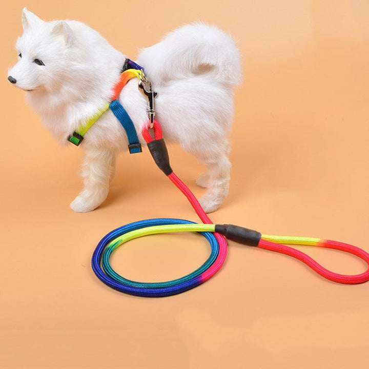 Vibrant Nylon Round Handheld Dog Leash
