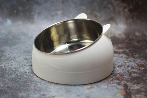 Elevated Slanted Pet Bowl