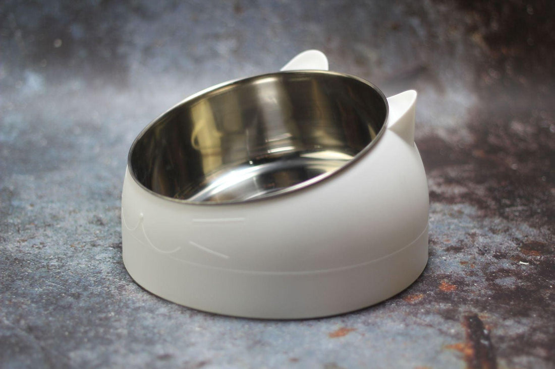 Elevated Slanted Pet Bowl
