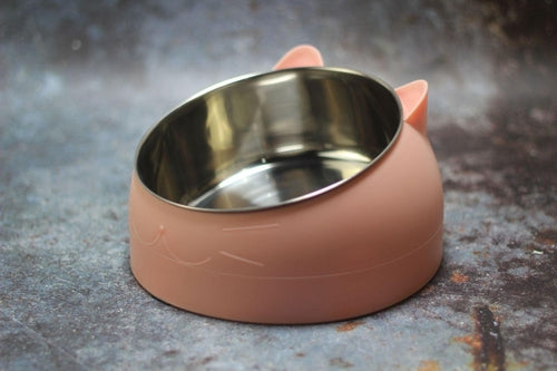 Elevated Slanted Pet Bowl
