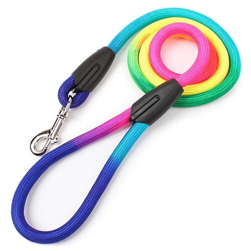 Vibrant Nylon Round Handheld Dog Leash