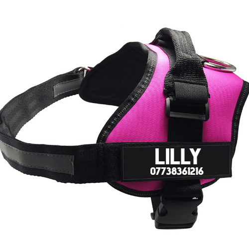 Ultimate Pet Adjustable Chest Harness With Dog Leash
