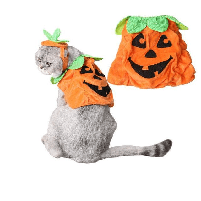 Pet Pumpkin Leaf Costume