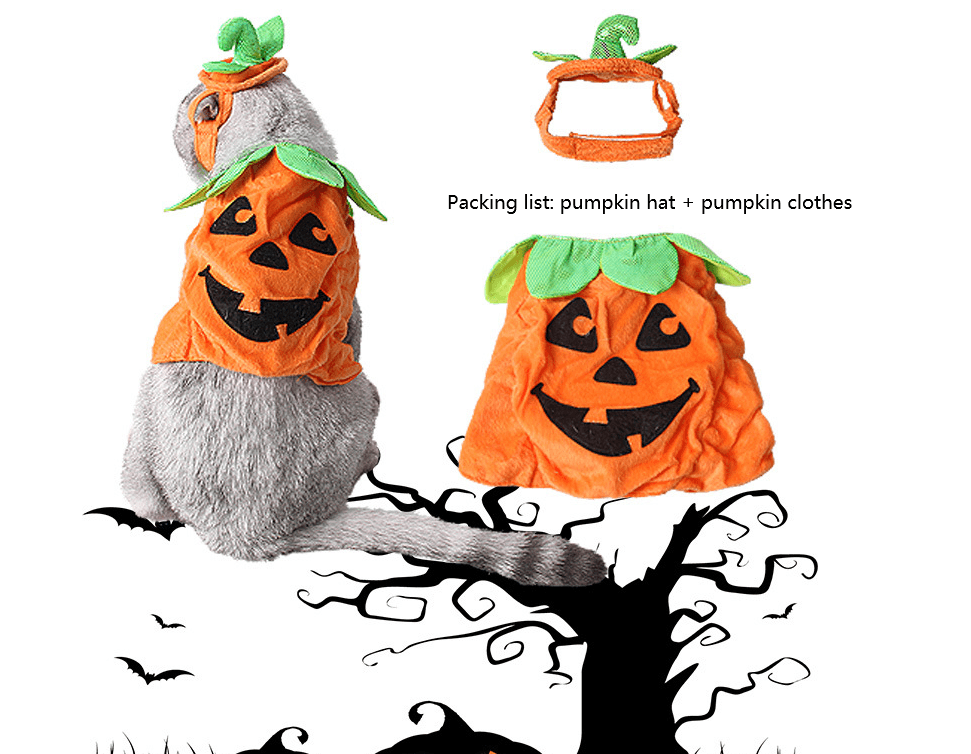 Pet Pumpkin Leaf Costume