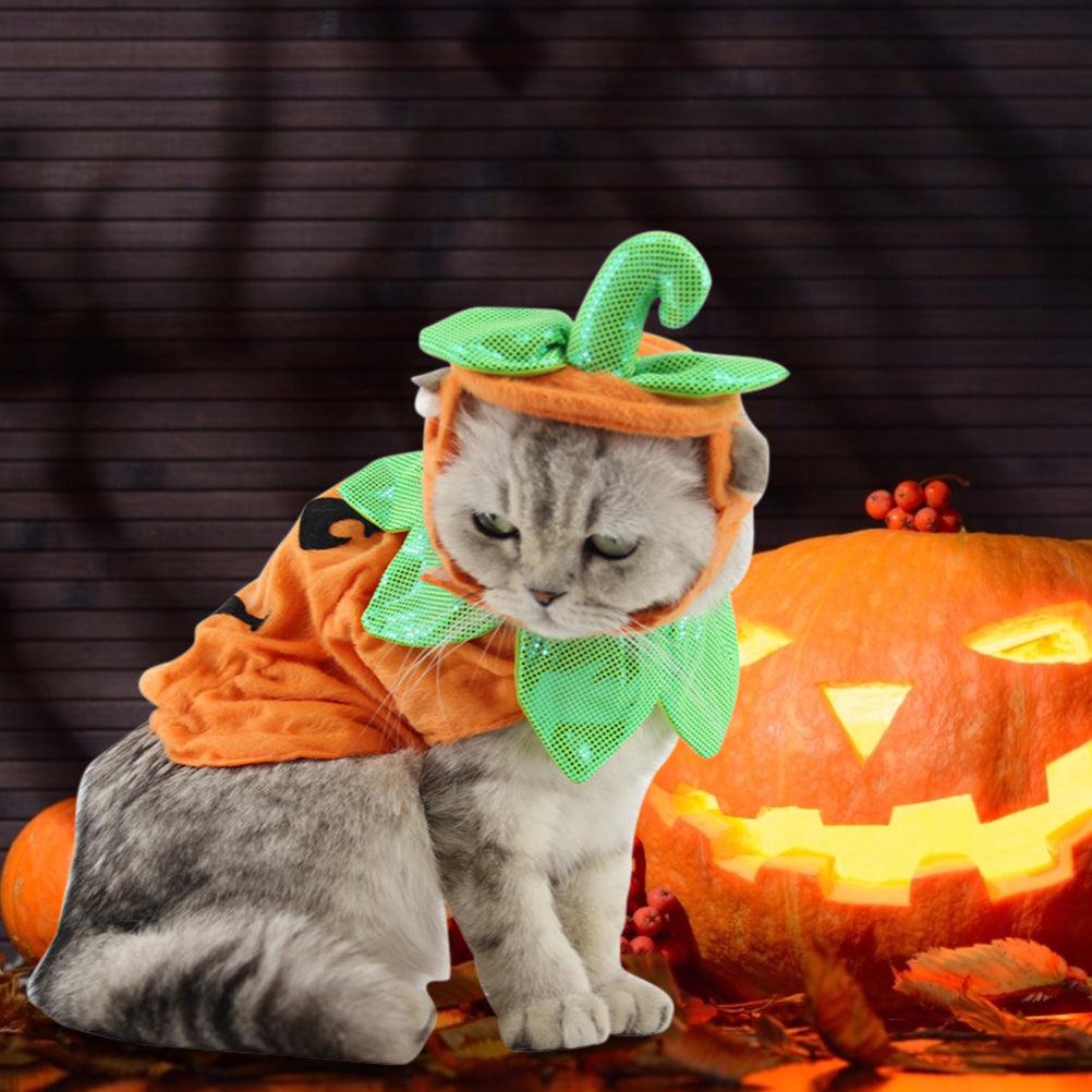 Pet Pumpkin Leaf Costume