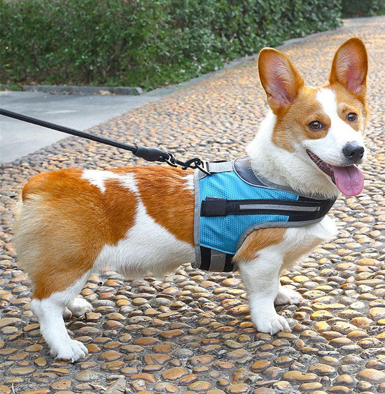 Durable Nylon Pet Dog Leash