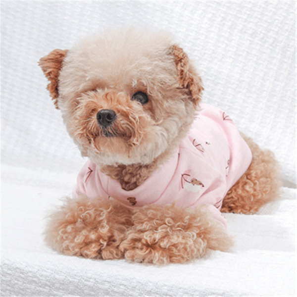 Petite Pooch Polyester Dog Clothes