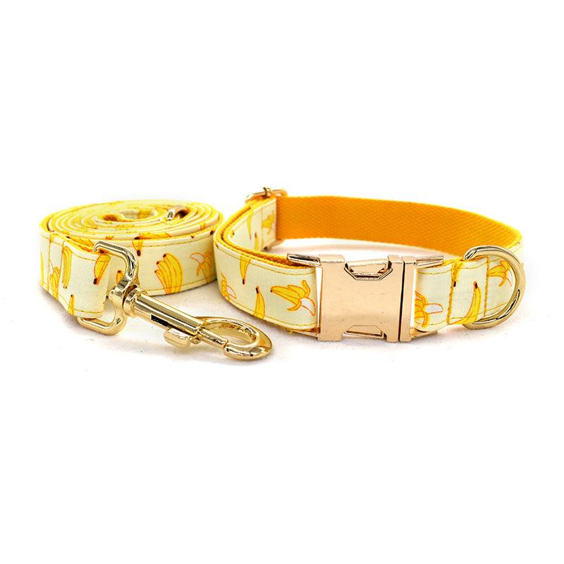 Fruitful Adventures Dog Leash Pet Collar