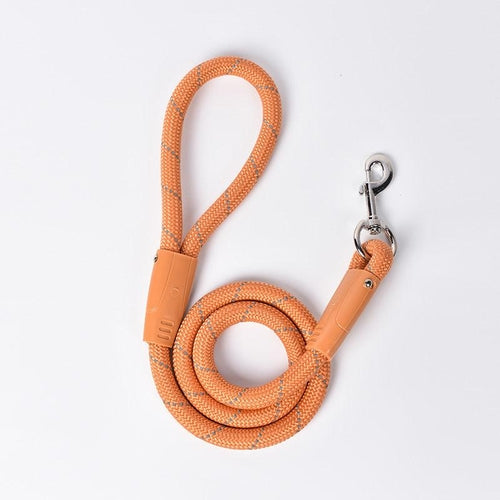 Small Dog Stylish And Durable Pet Leash