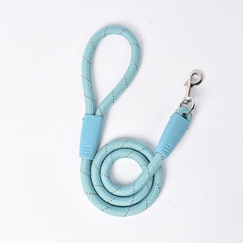 Small Dog Stylish And Durable Pet Leash