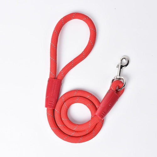 Small Dog Stylish And Durable Pet Leash