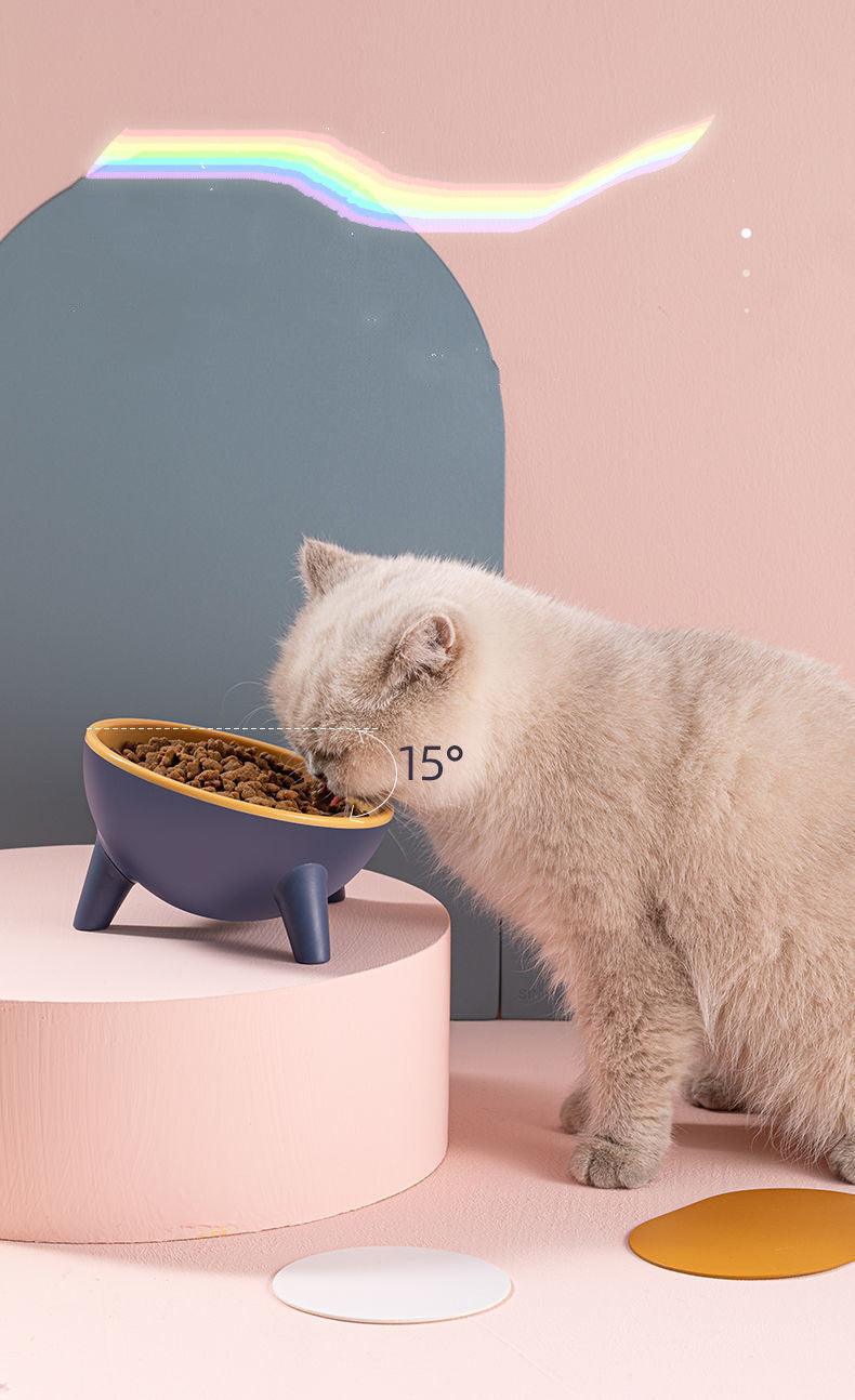 Pet Feeding Bowl With Stand