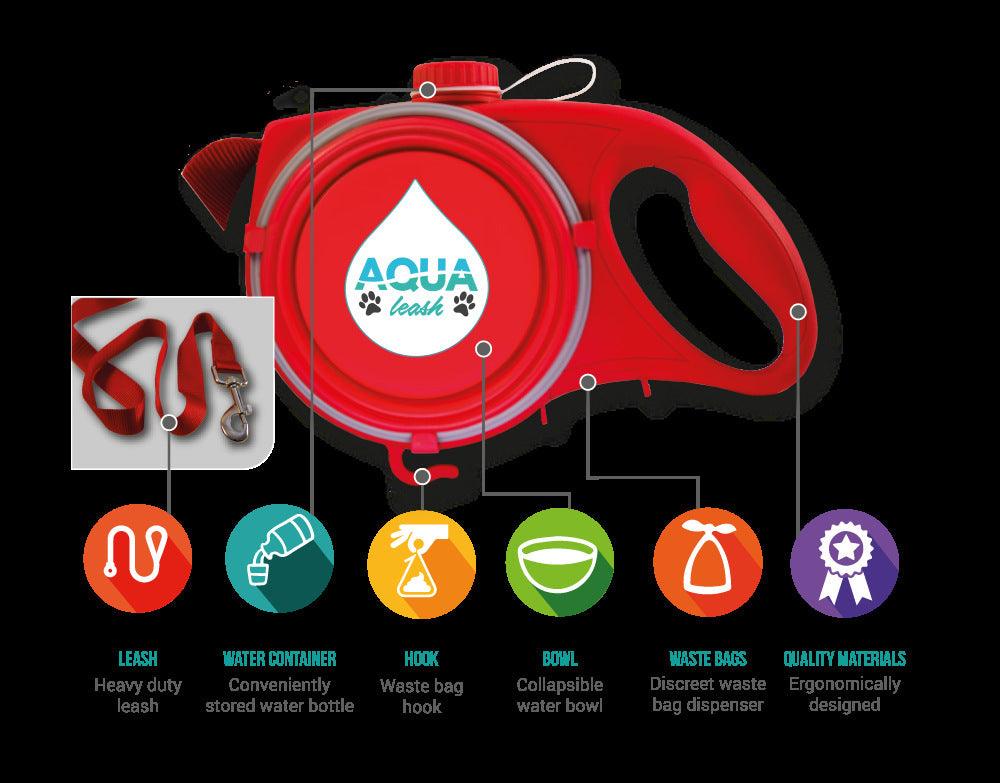 Multifunctional Pet Companion Leash