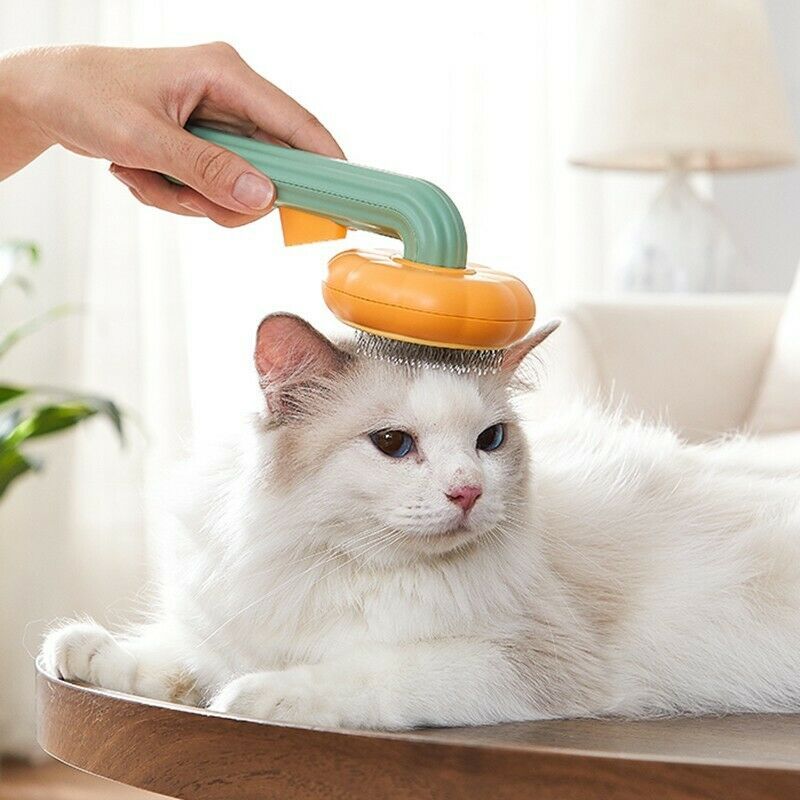 Pet Pumpkin Grooming Self Cleaning Slicker Brush