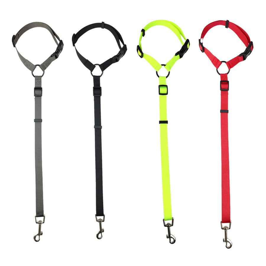 Secureflex Pet Safety Leash