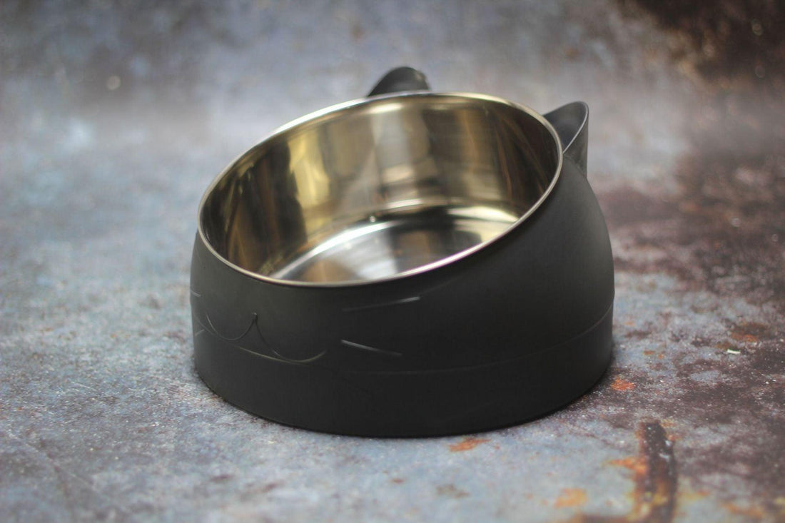Elevated Slanted Pet Bowl