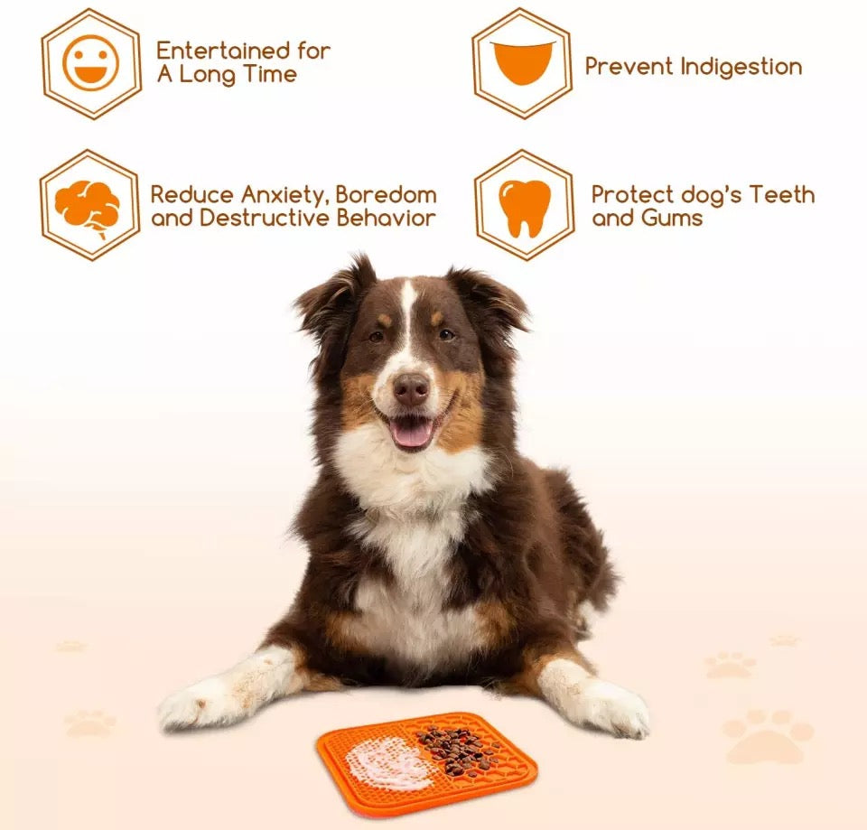 Pet Feeding Food Bowl