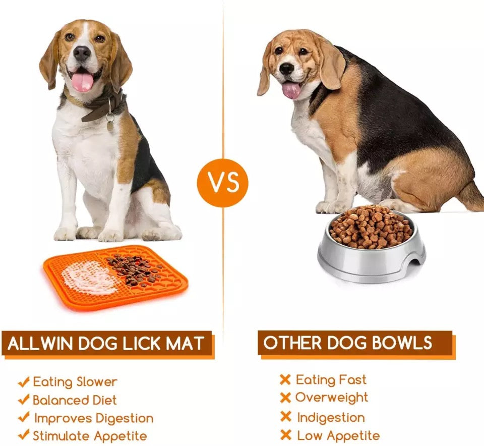 Pet Feeding Food Bowl