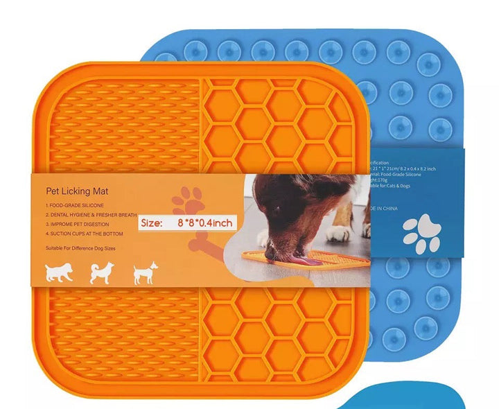 Pet Feeding Food Bowl