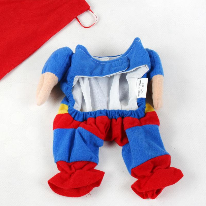 Ultimate Dog Clothes Transformation