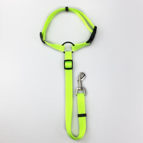 Secureflex Pet Safety Leash