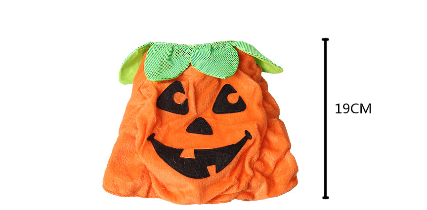 Pet Pumpkin Leaf Costume