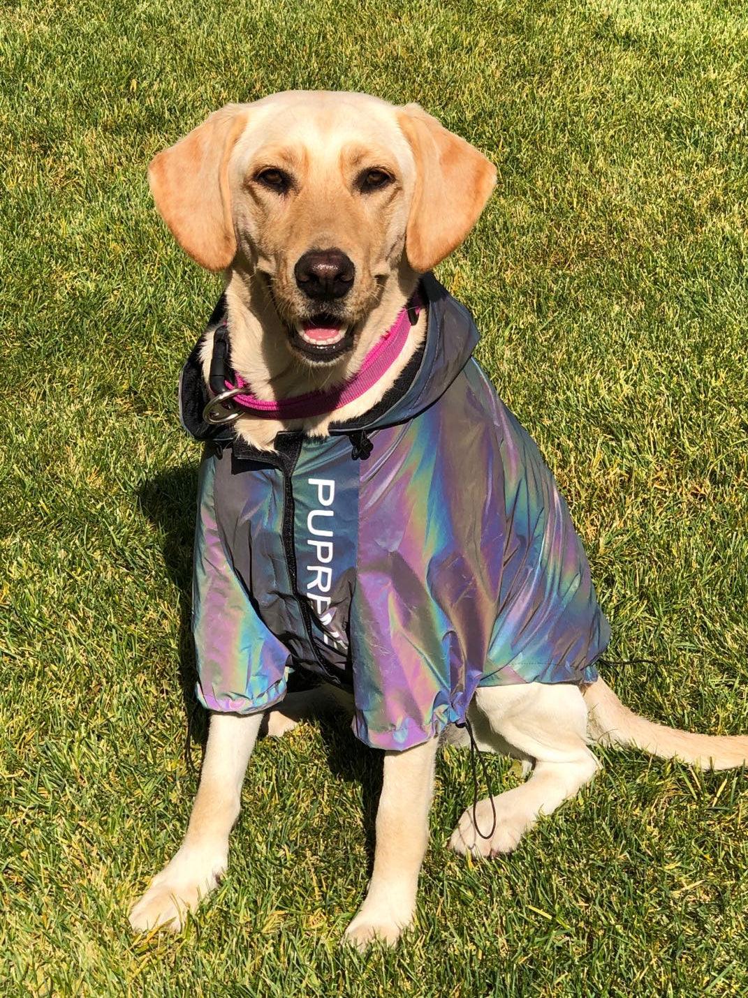 Ultra-Reflective Microcrystalline Dog Clothes