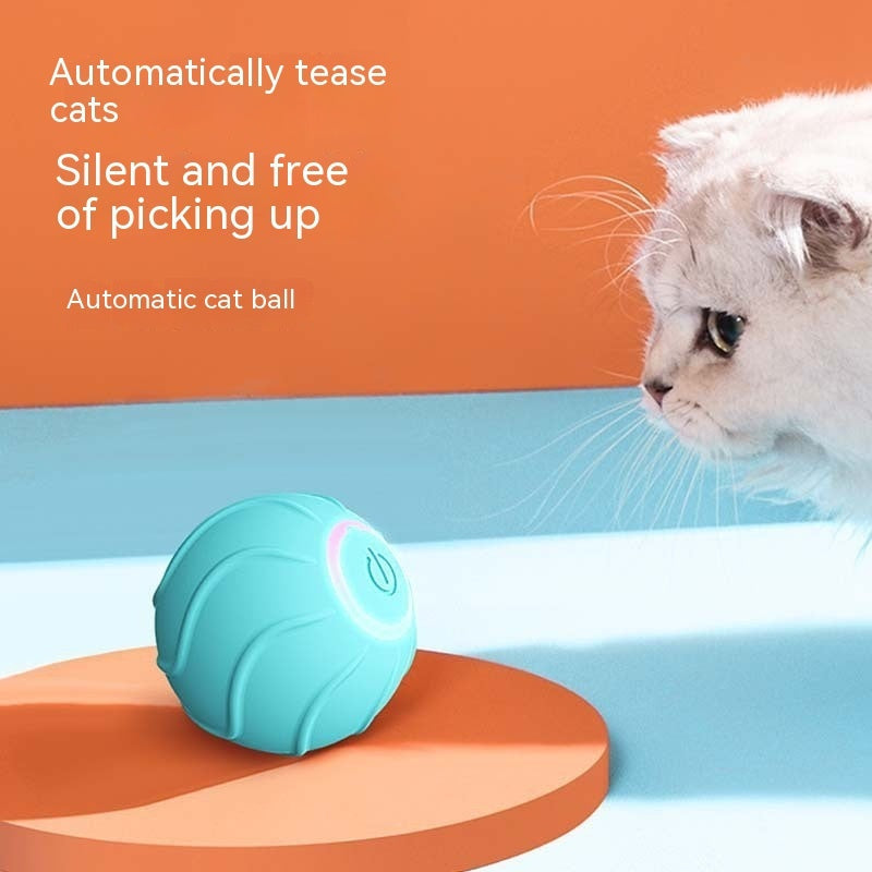 Pet Cat Owner Interactive Pets Toys