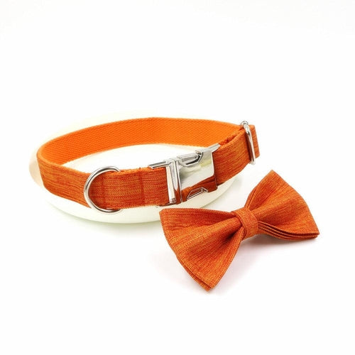 Pet Pals Orange Polyester Collar And Leash Set