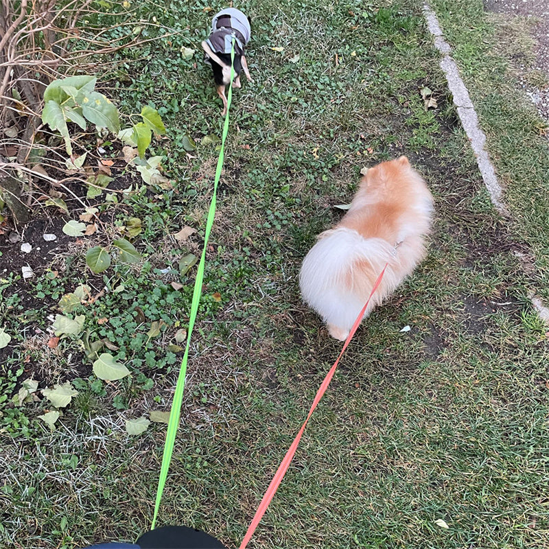 Retractable Dual Pet Lead Leash