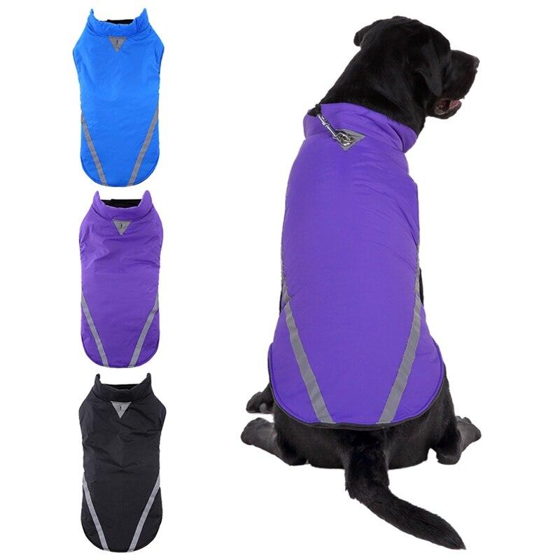 Stylish And Cozy Pet Clothing