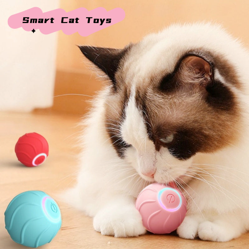 Pet Cat Owner Interactive Pets Toys