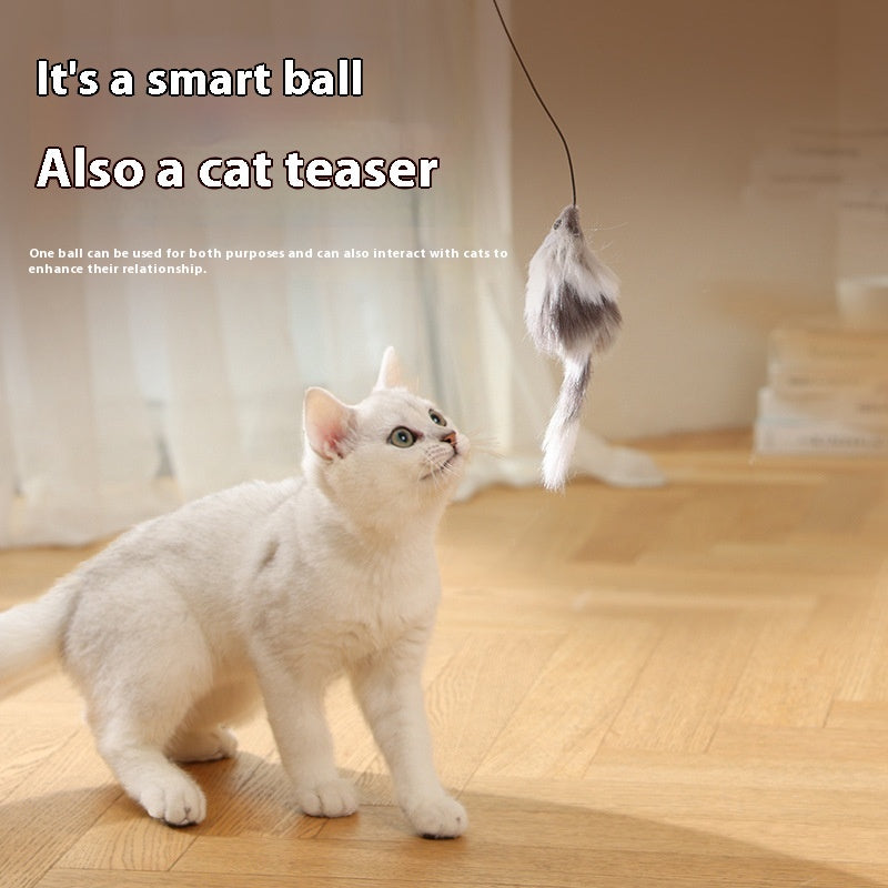 Mouse Teaser Ball Funny Moving Toy For Pets