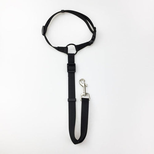 Secureflex Pet Safety Leash